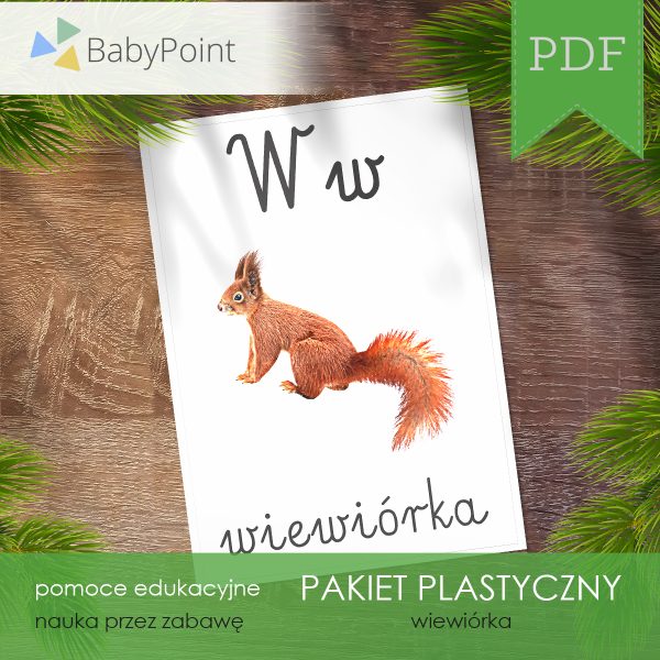 PAKIET-PLASTYCZNY-Wiewiorka-Vis1