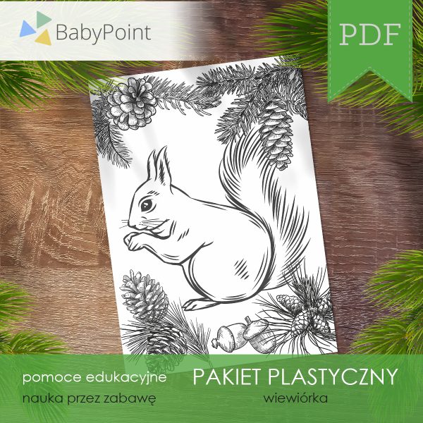 PAKIET-PLASTYCZNY-Wiewiorka-Vis1