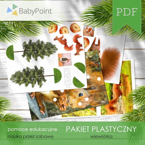 PAKIET-PLASTYCZNY-Wiewiorka-Vis1