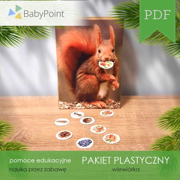 PAKIET-PLASTYCZNY-Wiewiorka-Vis1