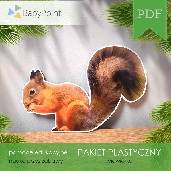 PAKIET-PLASTYCZNY-Wiewiorka-Vis1