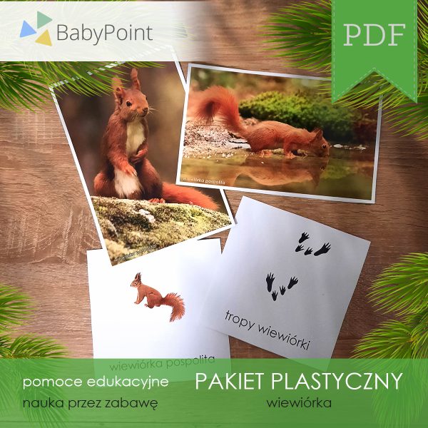 PAKIET-PLASTYCZNY-Wiewiorka-Vis1