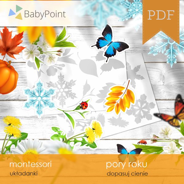 PORY ROKU - Zestaw edukacyjny 3D