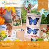 PORY ROKU - Zestaw edukacyjny 3D