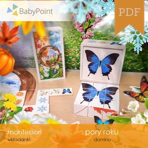 PORY ROKU - Zestaw edukacyjny 3D