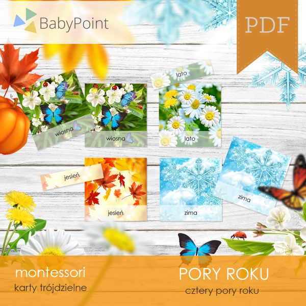 PORY ROKU - Zestaw edukacyjny 3D