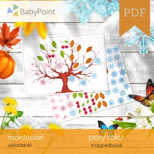 PORY ROKU - Zestaw edukacyjny 3D