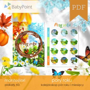 PORY ROKU - Zestaw edukacyjny 3D