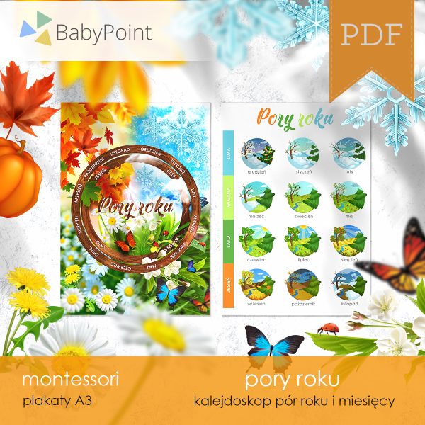 PORY ROKU - Zestaw edukacyjny 3D