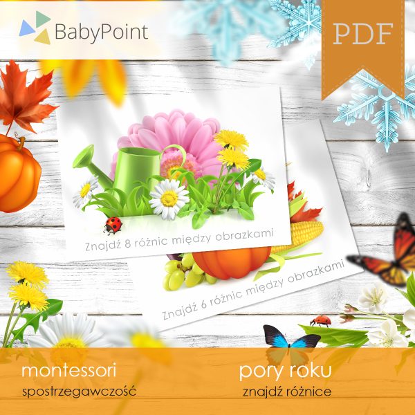 PORY ROKU - Zestaw edukacyjny 3D