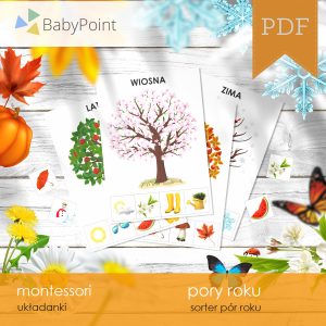 PORY ROKU - Zestaw edukacyjny 3D