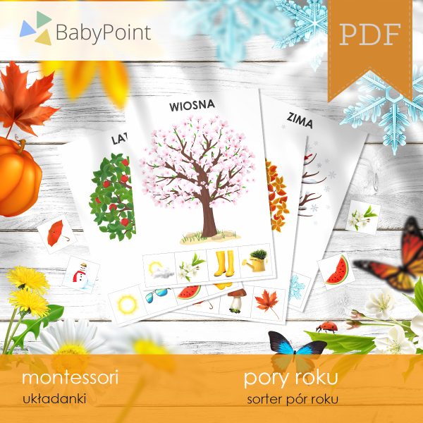 PORY ROKU - Zestaw edukacyjny 3D