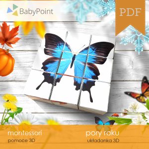 PORY ROKU - Zestaw edukacyjny 3D