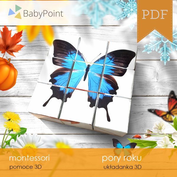 PORY ROKU - Zestaw edukacyjny 3D