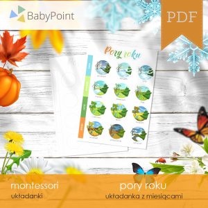 PORY ROKU - Zestaw edukacyjny 3D