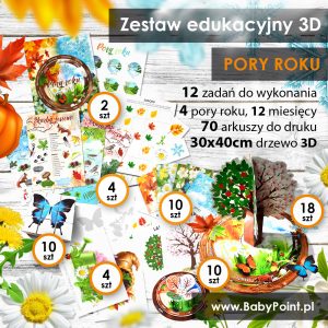 PORY-ROKU-Zestaw-edukacyjny-3D