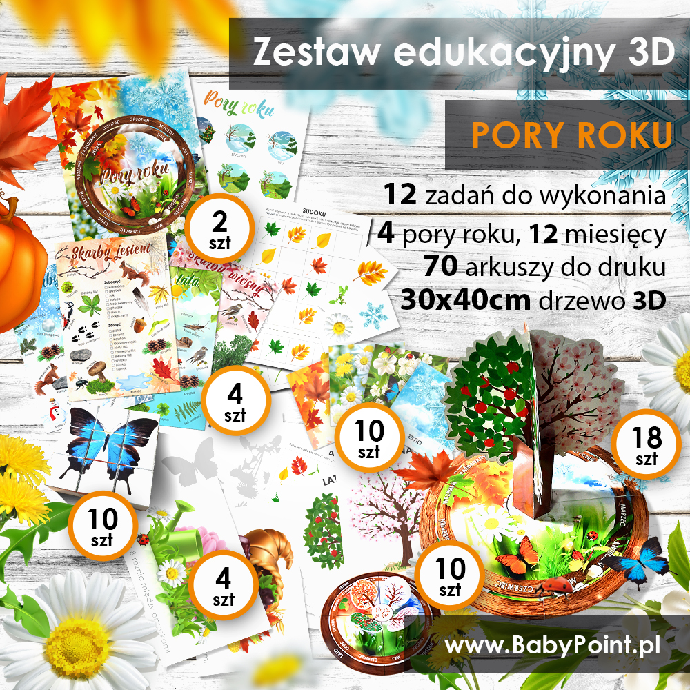 PORY-ROKU-Zestaw-edukacyjny-3D PORY-ROKU-Zestaw-edukacyjny-3D