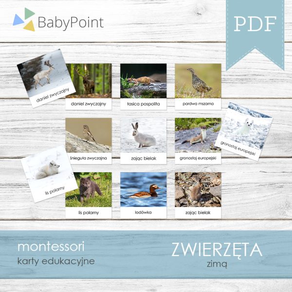 ZWIERZĘTA ZIMĄ - Karty edukacyjne