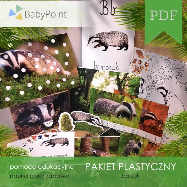 PAKIET PLASTYCZNY - Borsuk