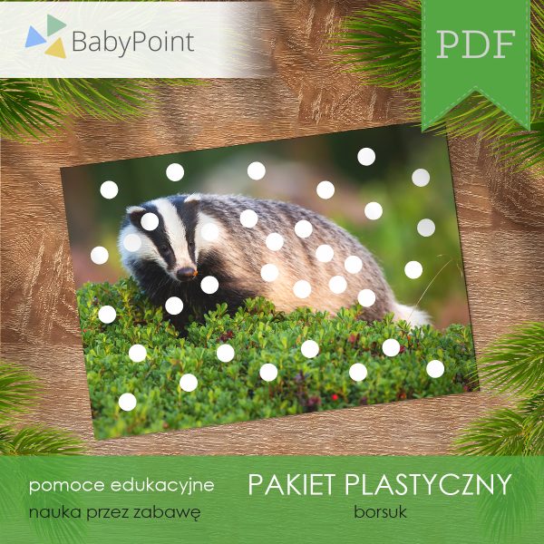 PAKIET PLASTYCZNY - Borsuk