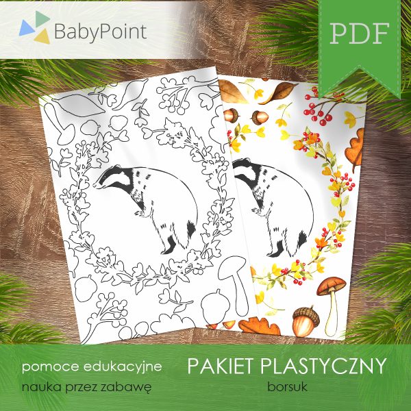 PAKIET PLASTYCZNY - Borsuk