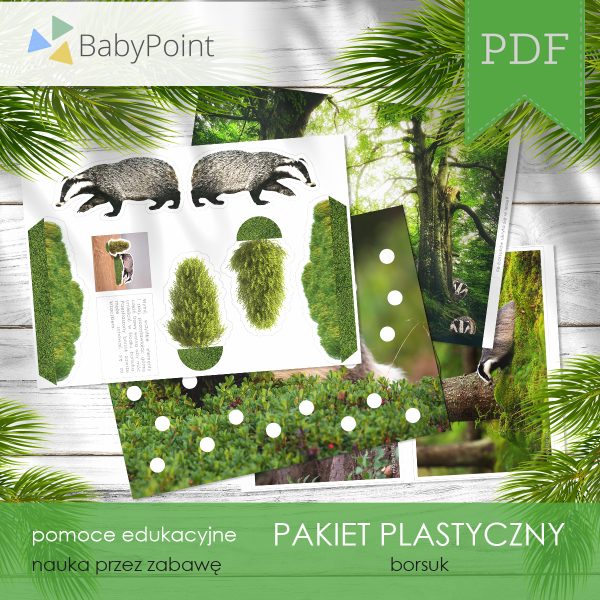 PAKIET PLASTYCZNY - Borsuk
