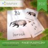 PAKIET PLASTYCZNY - Borsuk