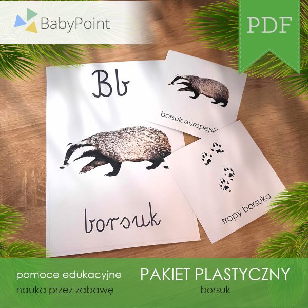 PAKIET PLASTYCZNY - Borsuk