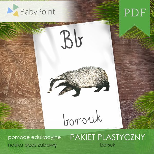 PAKIET PLASTYCZNY - Borsuk