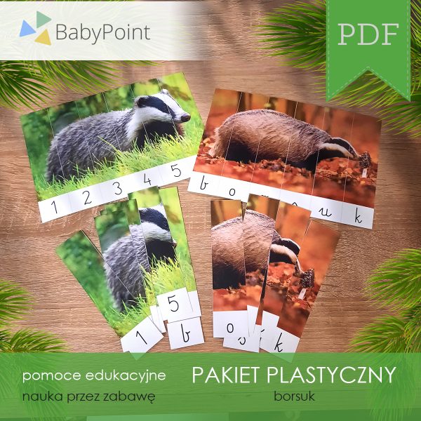 PAKIET PLASTYCZNY - Borsuk