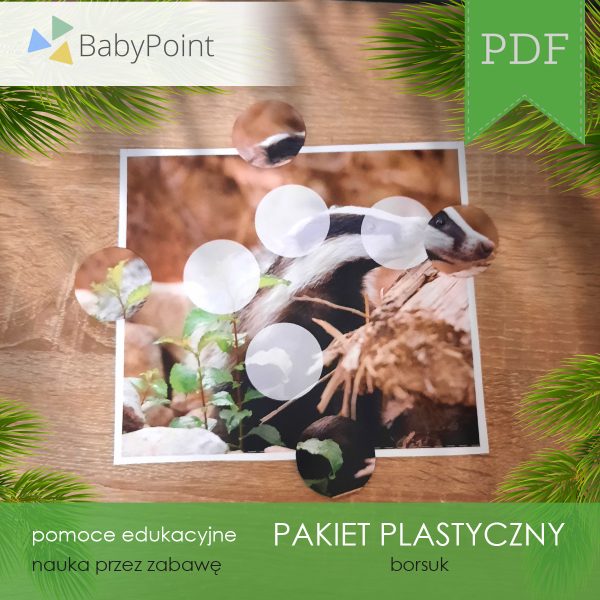 PAKIET PLASTYCZNY - Borsuk
