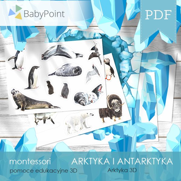 ARKTYKA I ANTARKTYKA - Zestaw edukacyjny 3D