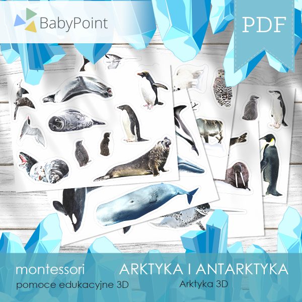 ARKTYKA I ANTARKTYKA - Zestaw edukacyjny 3D