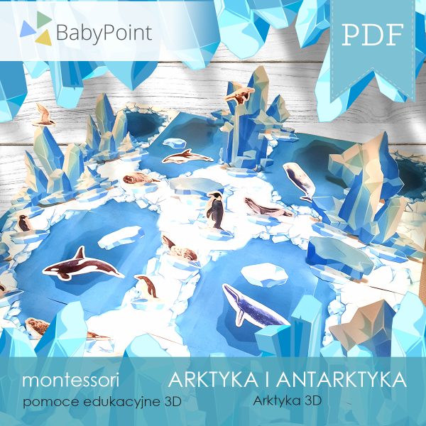 ARKTYKA I ANTARKTYKA - Zestaw edukacyjny 3D