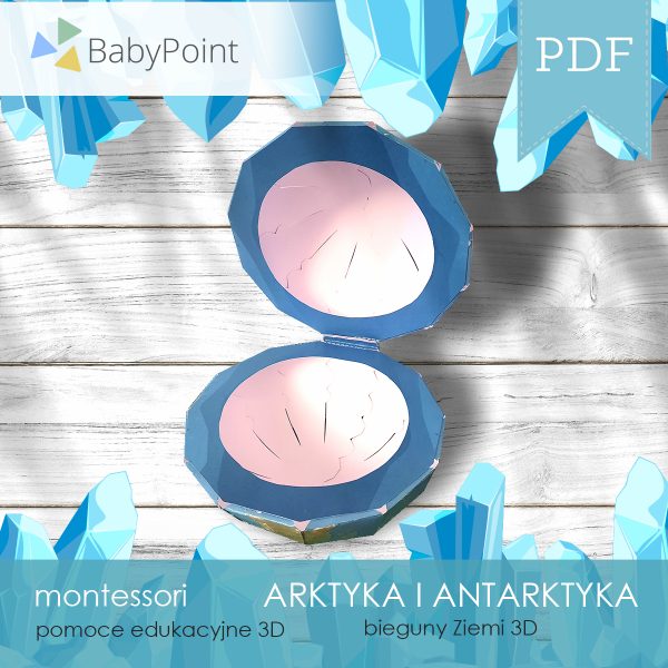 ARKTYKA I ANTARKTYKA - Zestaw edukacyjny 3D
