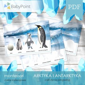 ARKTYKA I ANTARKTYKA - Zestaw edukacyjny 3D