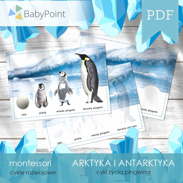 ARKTYKA I ANTARKTYKA - Zestaw edukacyjny 3D