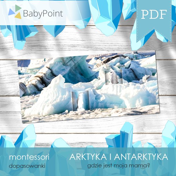 ARKTYKA I ANTARKTYKA - Zestaw edukacyjny 3D