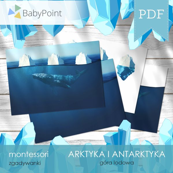 ARKTYKA I ANTARKTYKA - Zestaw edukacyjny 3D