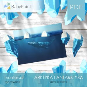 ARKTYKA I ANTARKTYKA - Zestaw edukacyjny 3D