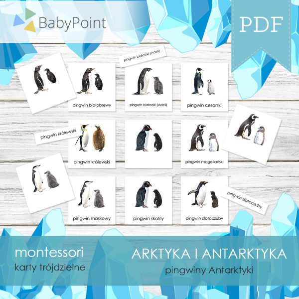 ARKTYKA I ANTARKTYKA - Zestaw edukacyjny 3D