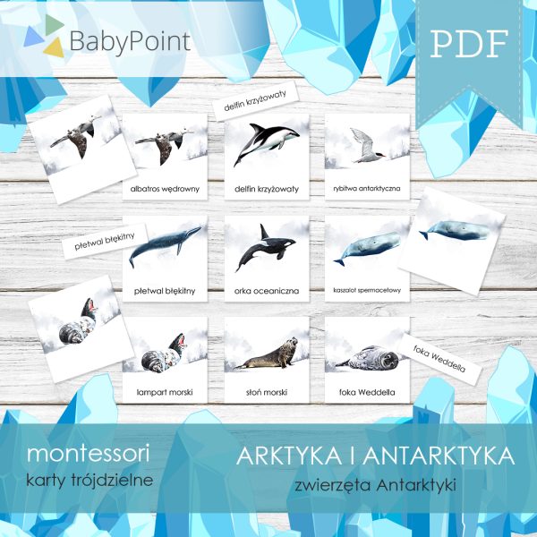 ARKTYKA I ANTARKTYKA - Zestaw edukacyjny 3D