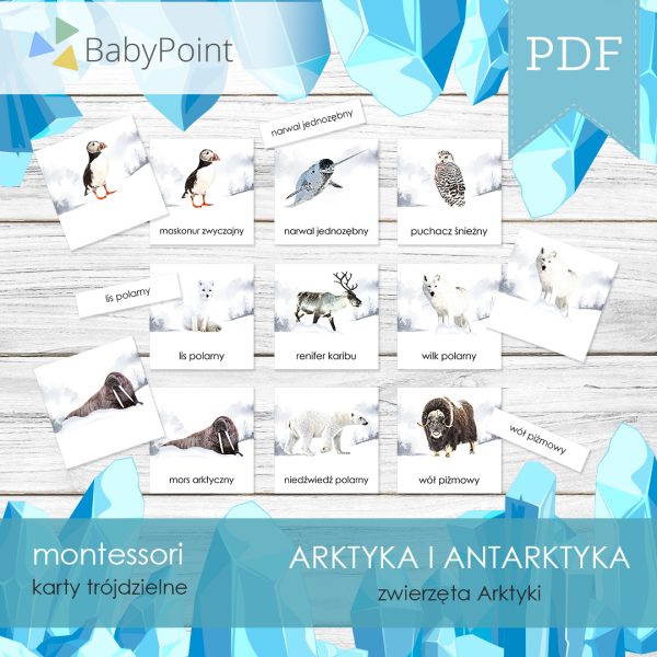 ARKTYKA I ANTARKTYKA - Zestaw edukacyjny 3D