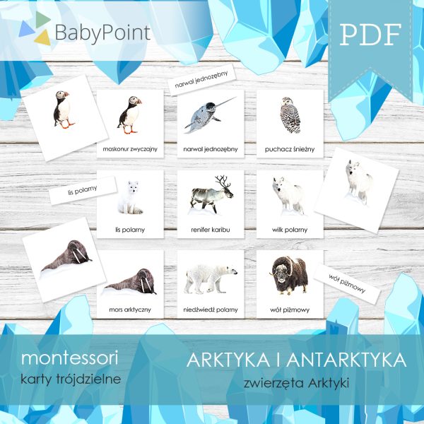 ARKTYKA I ANTARKTYKA - Zestaw edukacyjny 3D