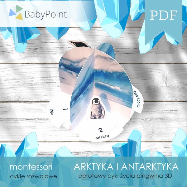 ARKTYKA I ANTARKTYKA - Zestaw edukacyjny 3D