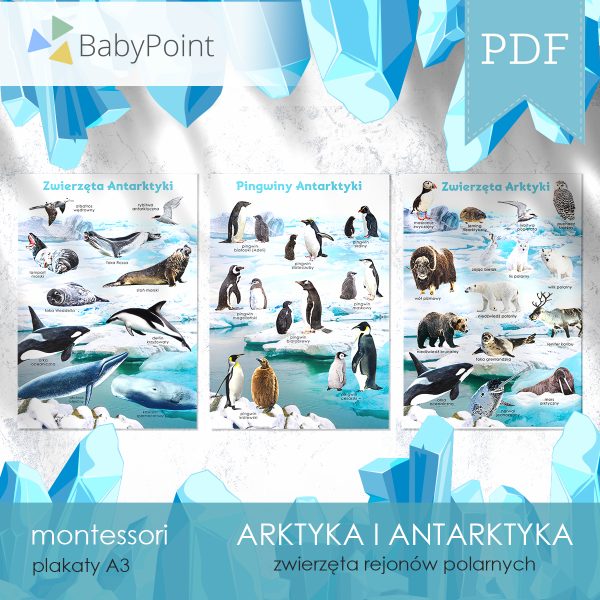 ARKTYKA I ANTARKTYKA - Zestaw edukacyjny 3D