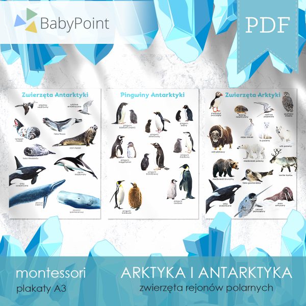 ARKTYKA I ANTARKTYKA - Zestaw edukacyjny 3D