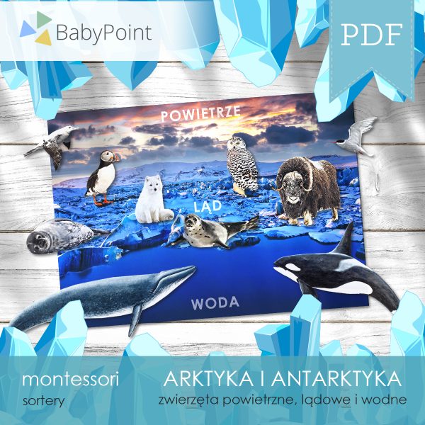 ARKTYKA I ANTARKTYKA - Zestaw edukacyjny 3D