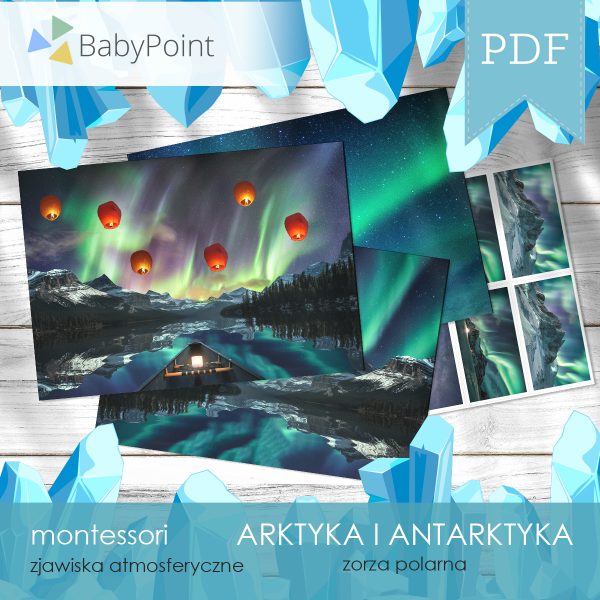 ARKTYKA I ANTARKTYKA - Zestaw edukacyjny 3D