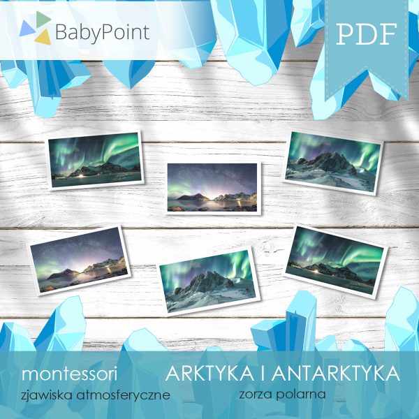 ARKTYKA I ANTARKTYKA - Zestaw edukacyjny 3D